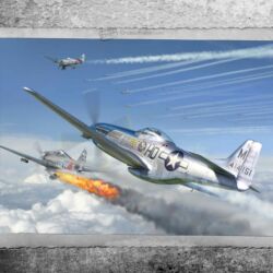 Kép 1/4 - Forces Of Valor 1:72 US P-51D Mustang January 1945 (873010)