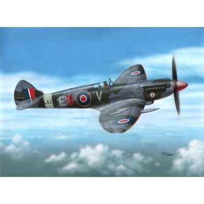 Special Hobby Spitfire F Mk 21 "Post WWII Service" 1:72 (72249)