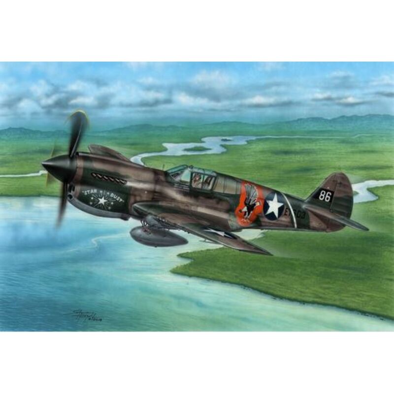 Special Hobby P-40E Warhawk Claws and Teeth 1:72 (72338)